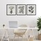 Stupell Industries Classic Natural Botanicals 3pc Framed Print Under Glass Set, design by Karen Smith